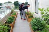Vườn 'thượng uyển' bí mật lưng trời của đại gia Hà Nội