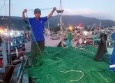 Hàng trăm tàu ghi chữ Trung Quốc phá lưới ngư dân Đà Nẵng